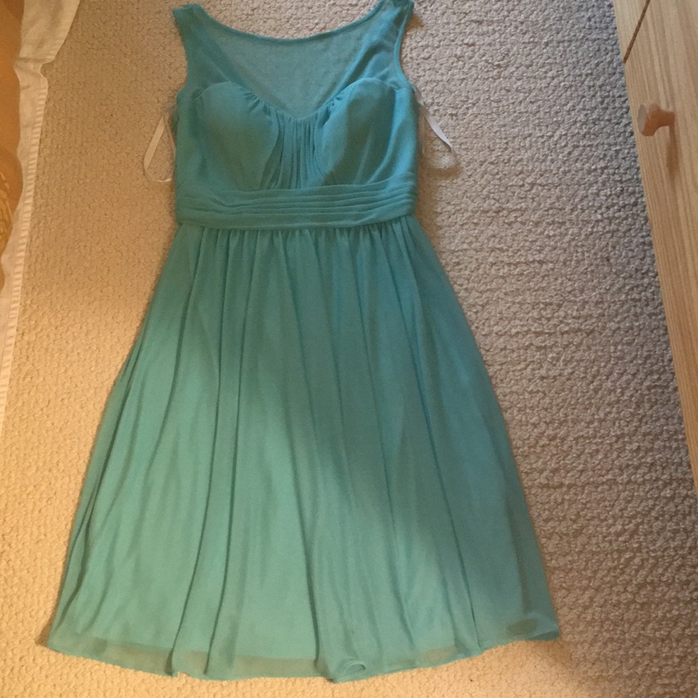 David’s Bridal bridesmaid dress!